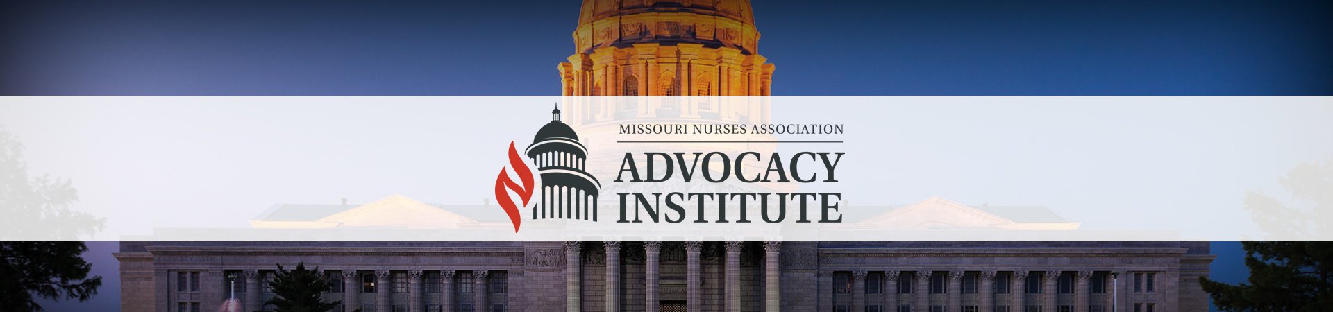 2025_mona_advocacy_institute_banner